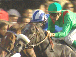 Jockey avec son cheval au galop