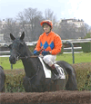 Cheval monté avec son jockey à Auteuil